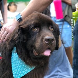 Meet your Posher, Alexia